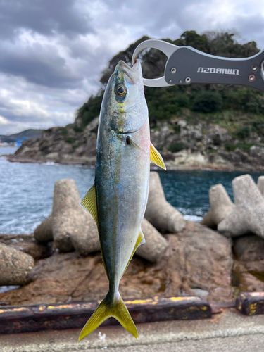 浜田港（島根）