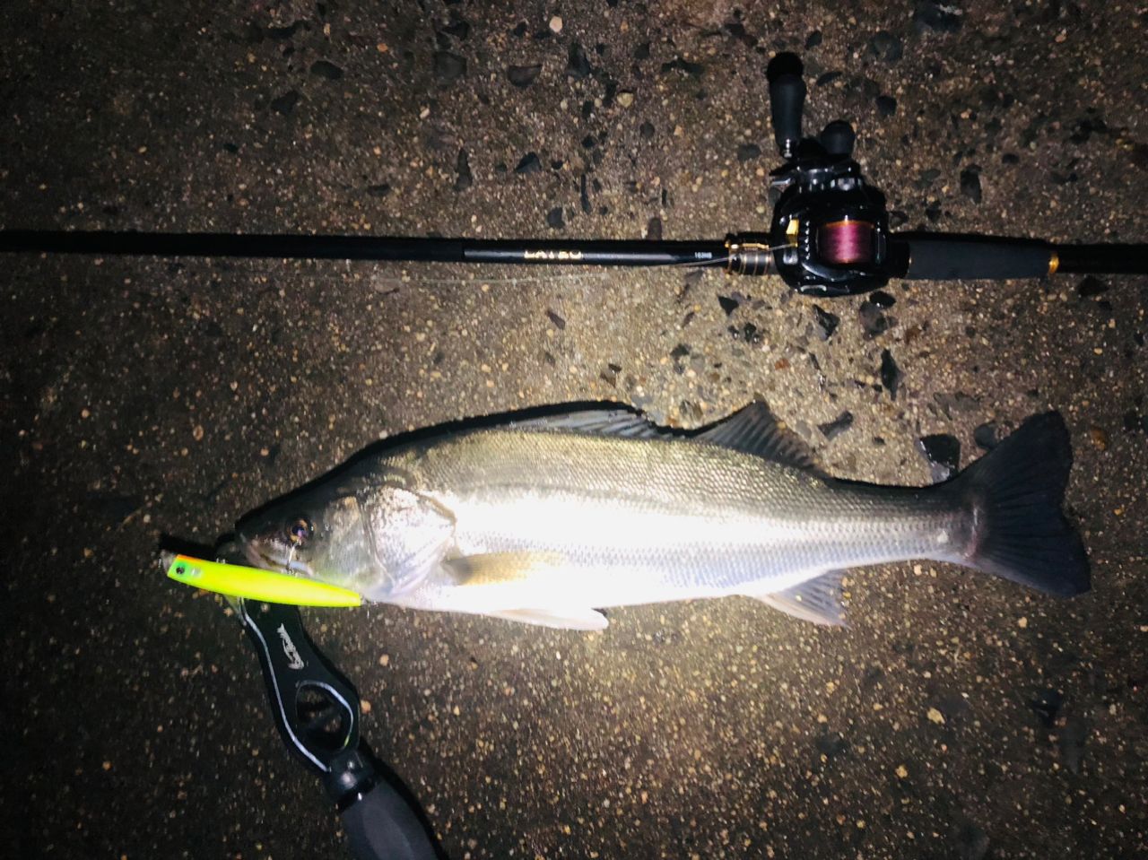 DAIWA 18ジリオン TW HD 1520SHの最安値・インプレ・釣果 | 本音の