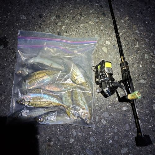 東京湾（アクアライン〜富津）