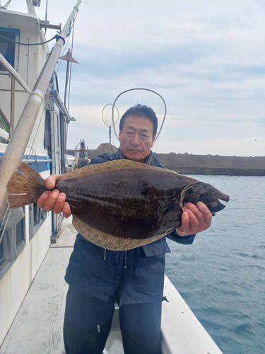 ヒラメの釣果