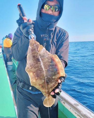 ナメタガレイの釣果