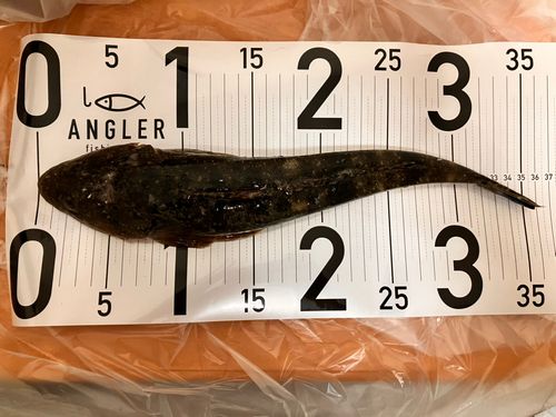 新舞子海岸（富津）