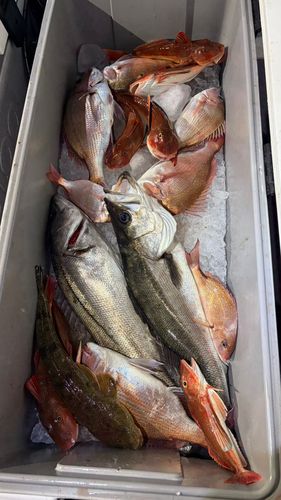 東京湾（アクアライン以北）