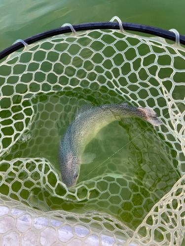 西武園ゆうえんちフィッシングランド