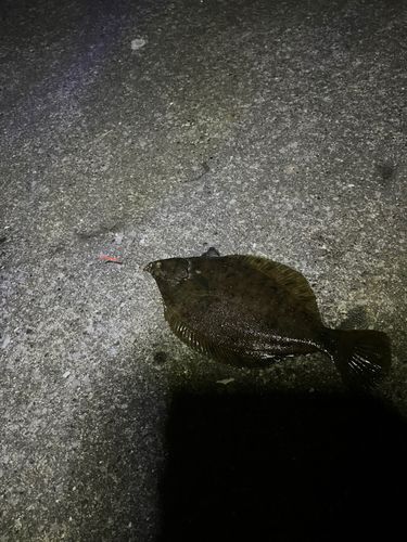 千葉港中央埠頭