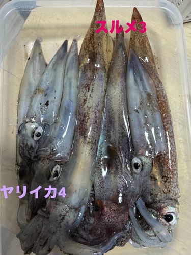 三陸海岸（岩手）