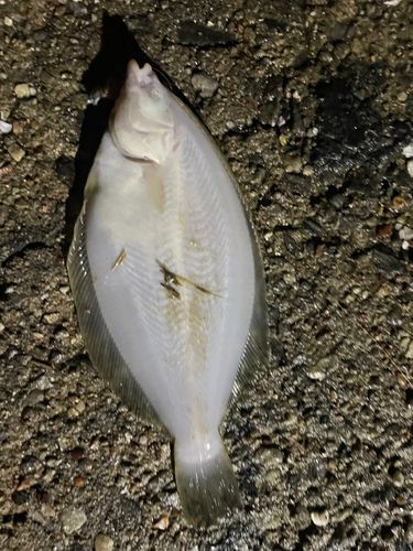 一色さかな広場前