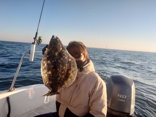 ヒラメの釣果
