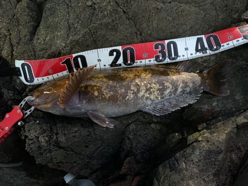 三陸海岸（青森）