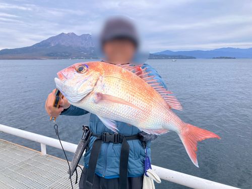 スマガツオの釣果