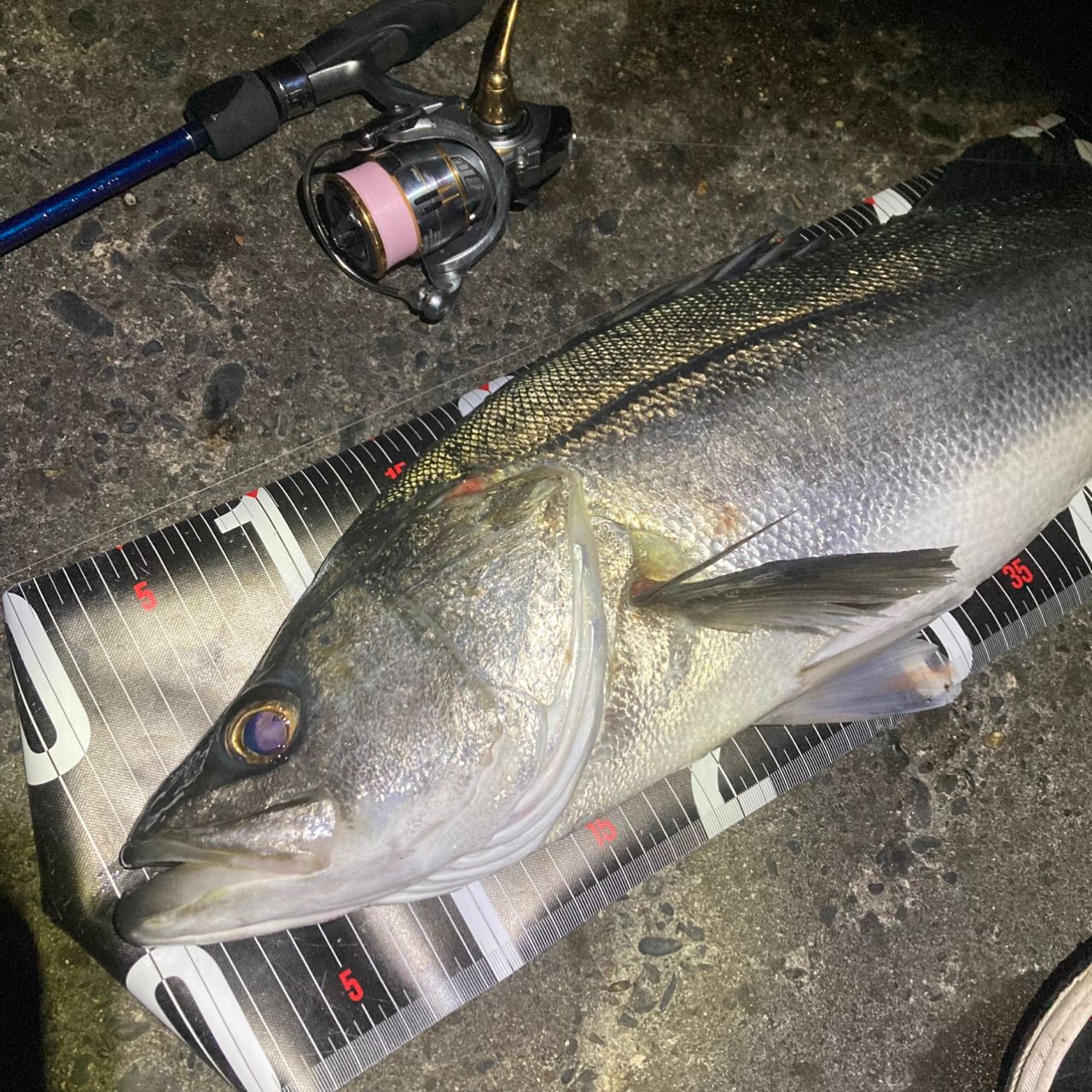 【最終値下げ】YAMAGA Blanks ブルーカレント3 711 ロッド]ヤマガブランクス ブルーカレントIII 711□ネコポス対象外□の