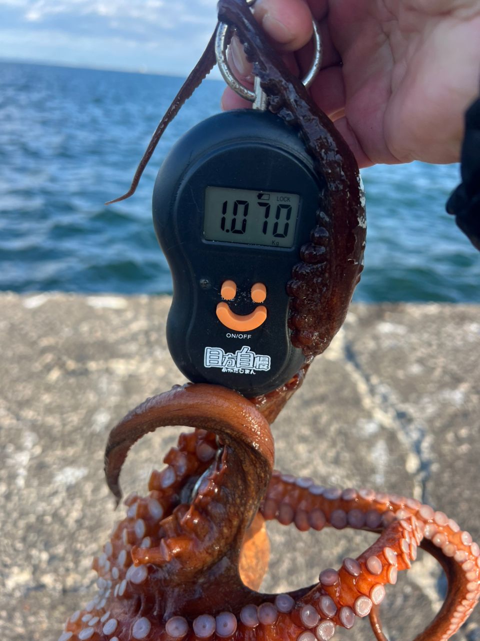 アブガルシア タコスフィールド ベイトモデル　TKFC-762H アブ ガルシア タコスフィールド TKFC-762H (ベイトモデル) / タコ竿