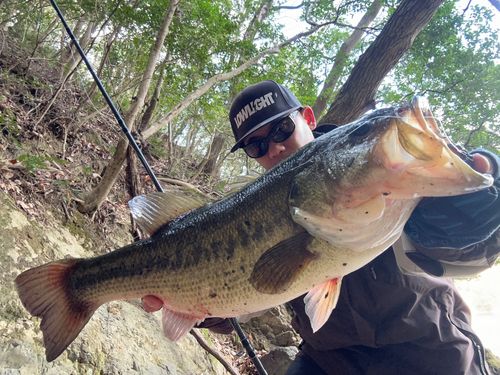 ブラックバスの釣果