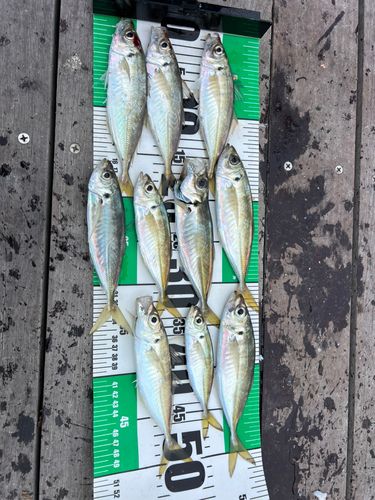 小名浜港アクアマリンふくしま周辺