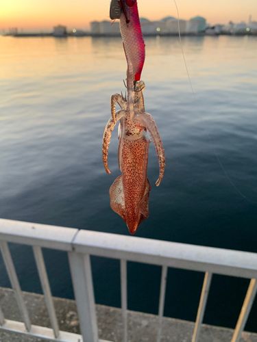 千葉港中央埠頭