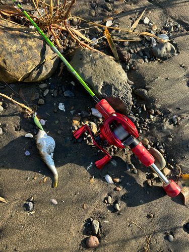 新舞子海岸（富津）