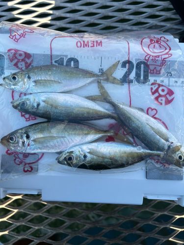 本牧海づり施設