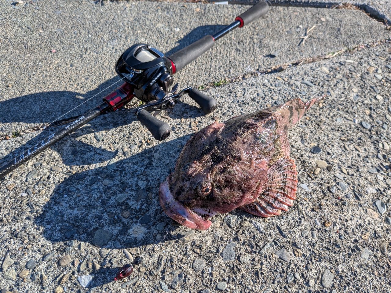 DAIWA 21HRF® (ハードロックフィッシュ) エア 610ML/MB・Nの最安値