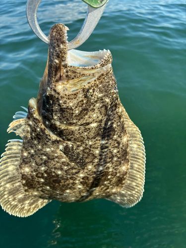 新舞子海岸（富津）