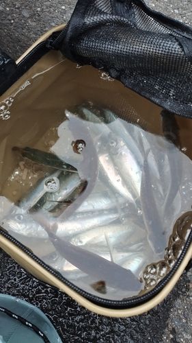 小名浜港アクアマリンふくしま周辺