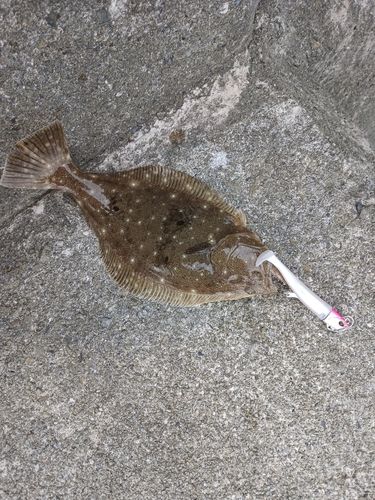 相馬港釣り桟橋