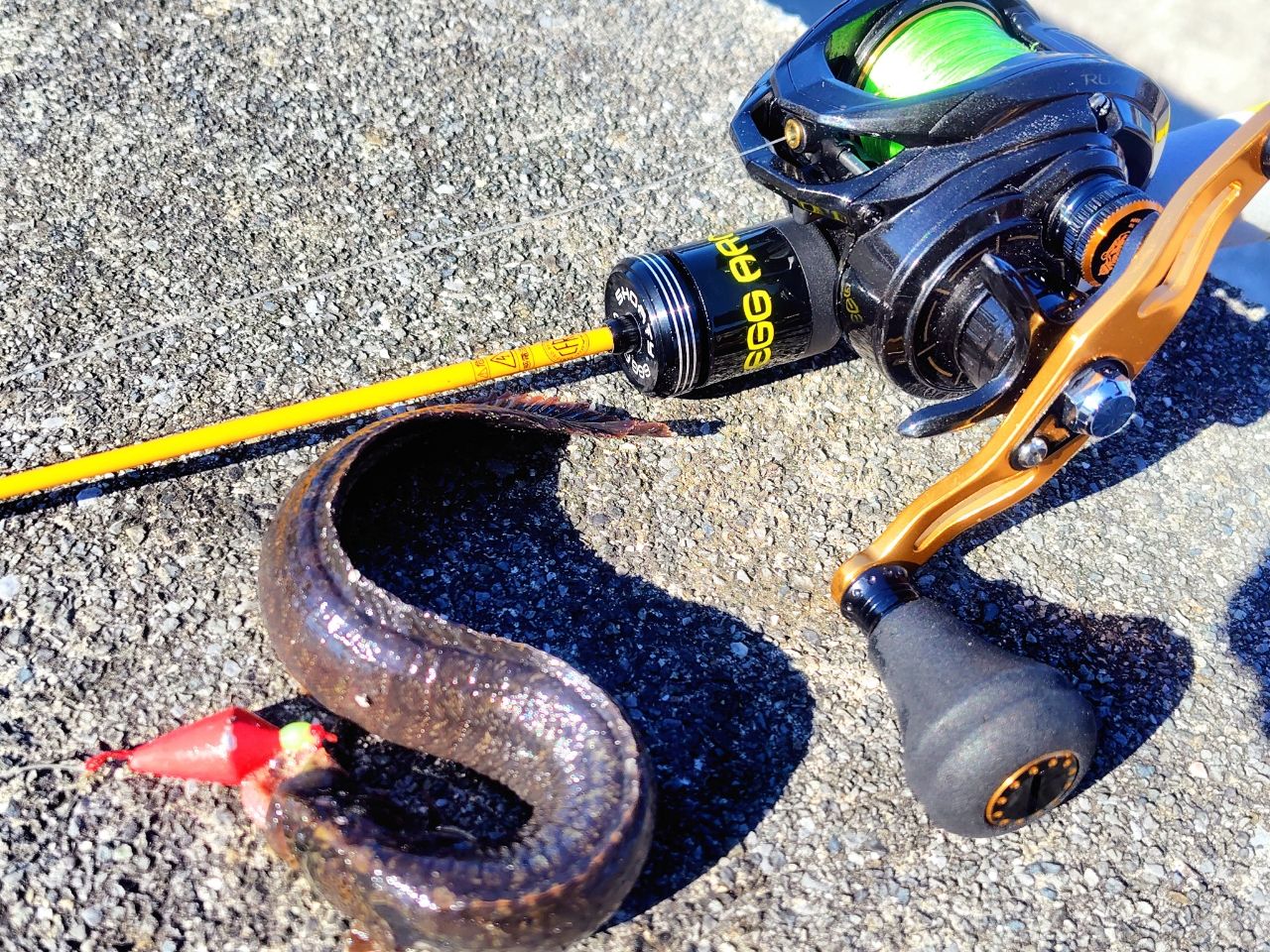 AbuGarcia 18ロキサーニ パワーシューター Lの最安値・インプレ・釣果