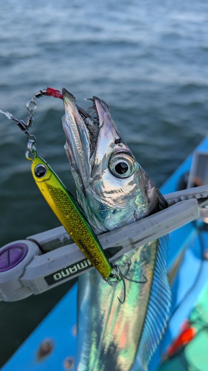 おざくんさんの釣果 1枚目の画像