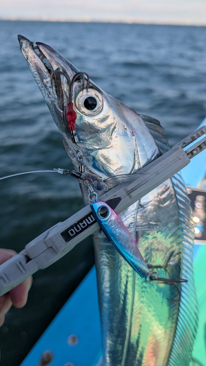 おざくんさんの釣果 3枚目の画像