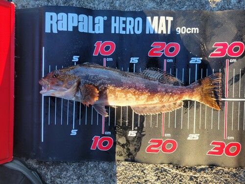 三陸海岸（岩手）