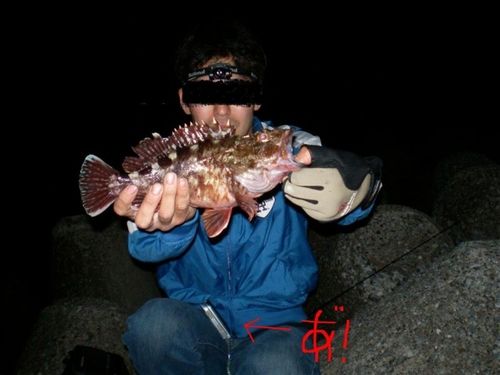 金沢水際線緑地（福浦岸壁）