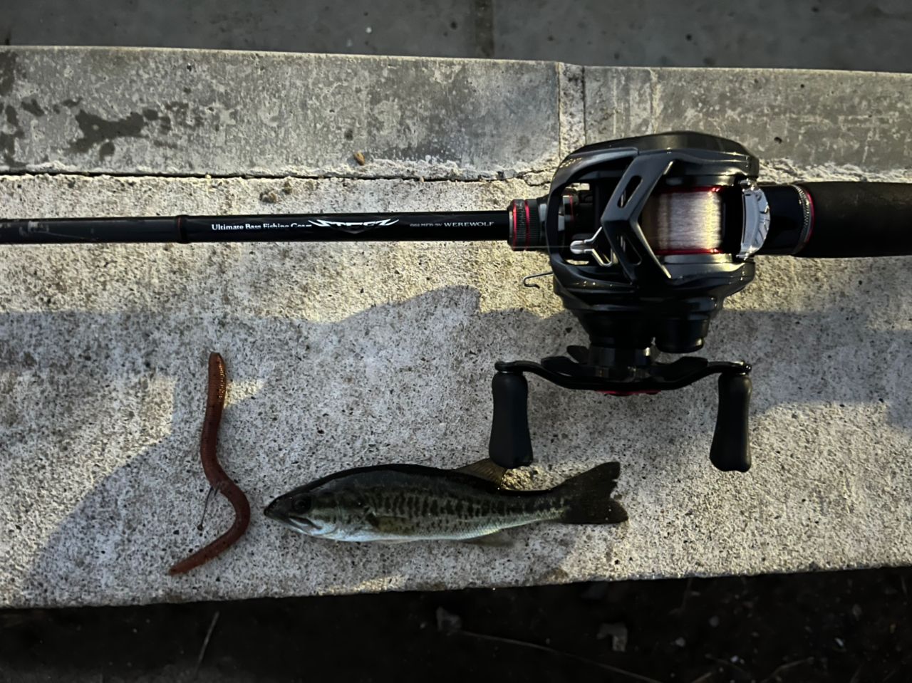 DAIWA 23タトゥーラ FC LT2500SS-H-QDの最安値・インプレ・釣果 | 本音