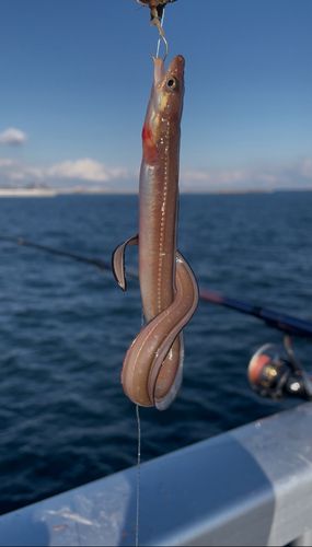 本牧海づり施設