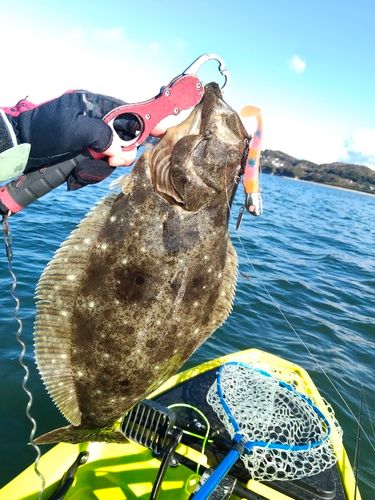 新舞子海岸（富津）