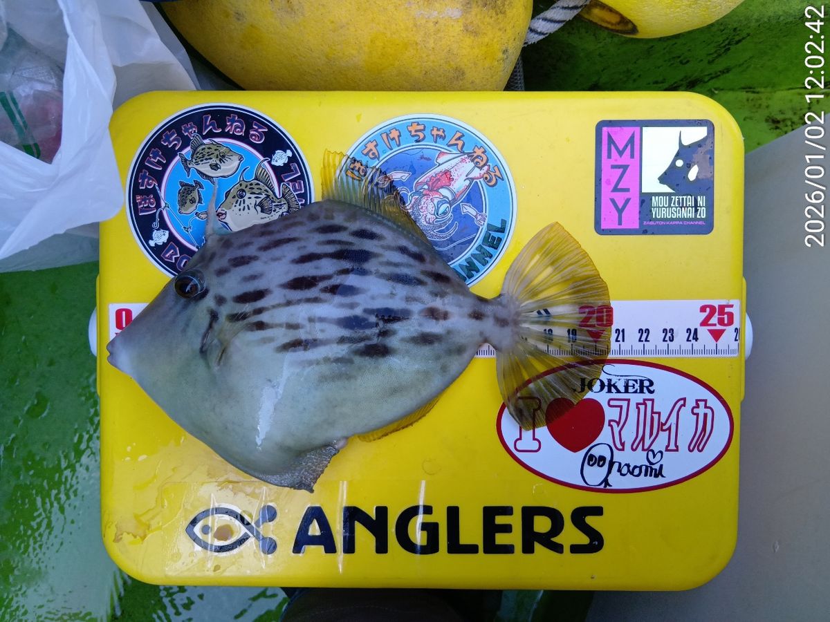 にゃんすけさんの釣果 3枚目の画像