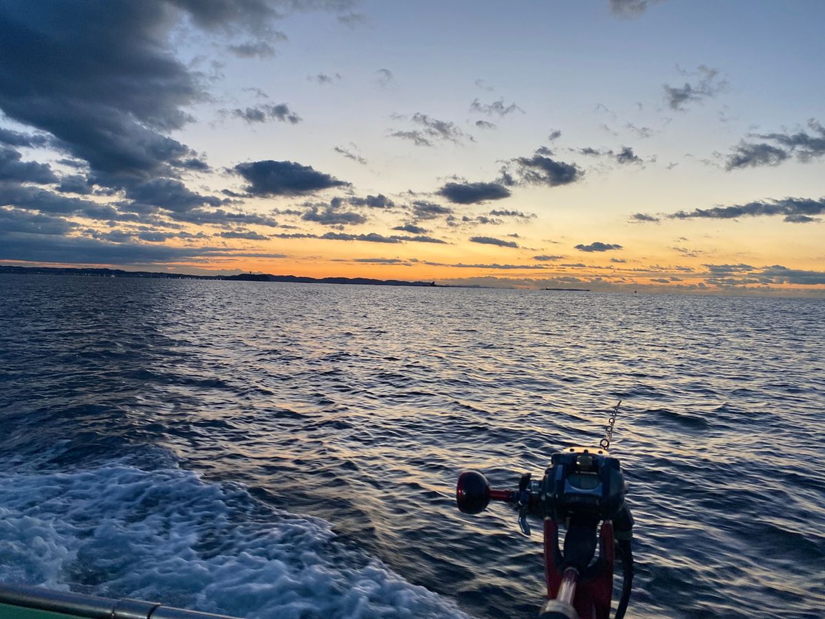 湘南のかつさんの釣果 2枚目の画像