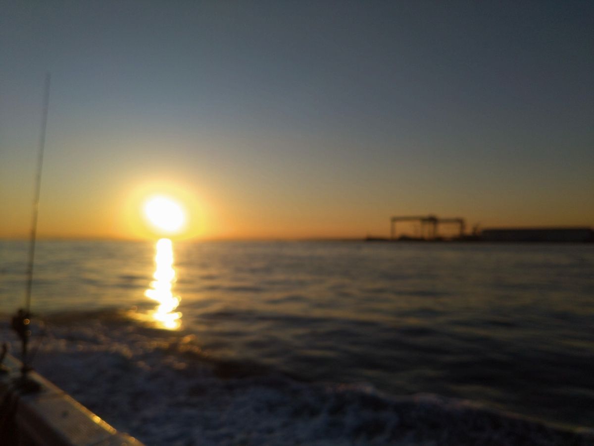 半月さんの釣果 3枚目の画像