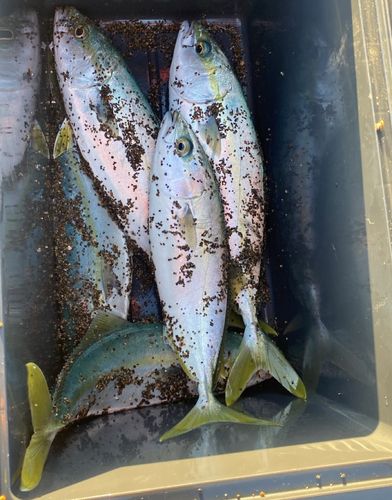 柿崎中央海水浴場