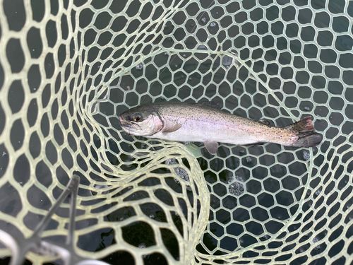 Oyama Water Park 遊水園