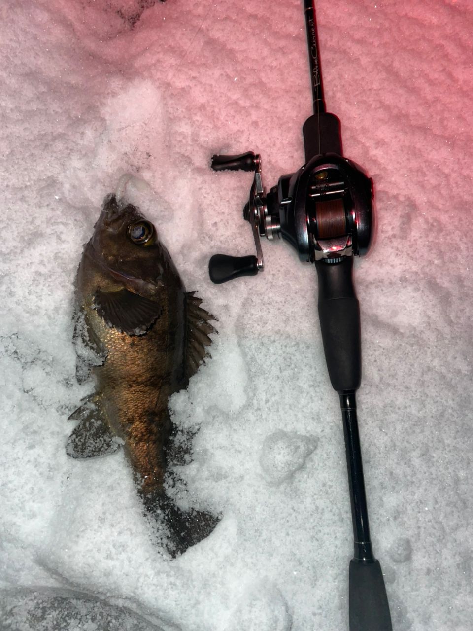 SHIMANO 22アルデバラン BFS XG LEFTの最安値・インプレ・釣果 | 本音