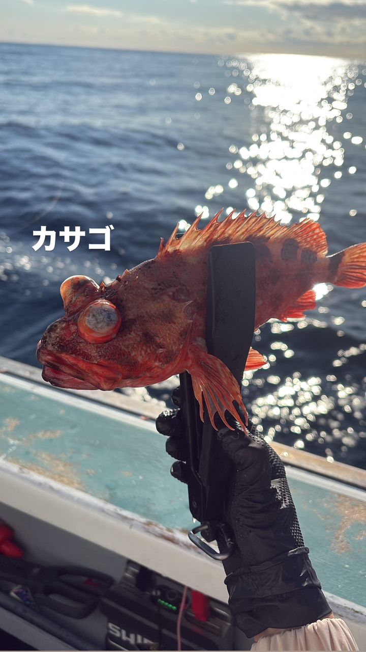 優佳さんの釣果 2枚目の画像