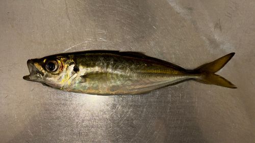 小名浜港アクアマリンふくしま周辺