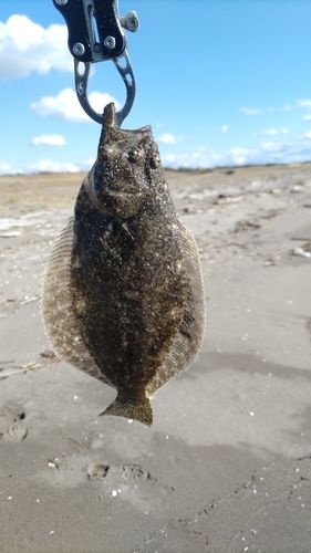 東京湾（富津〜金谷）