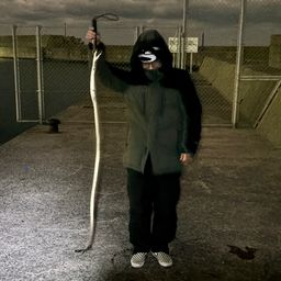 ダイナンウミヘビ