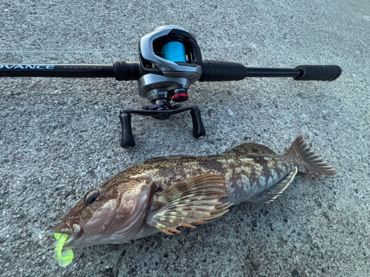 SHIMANO 21スコーピオン DC 151XG LEFTの最安値・インプレ・釣果