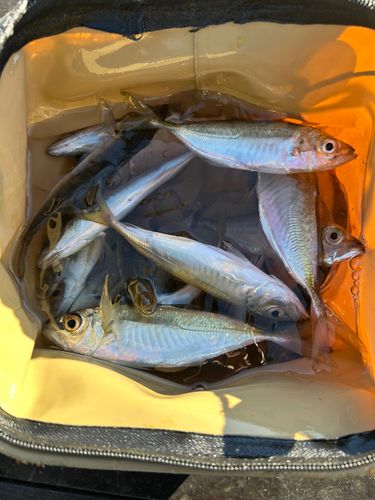 小名浜港アクアマリンふくしま周辺