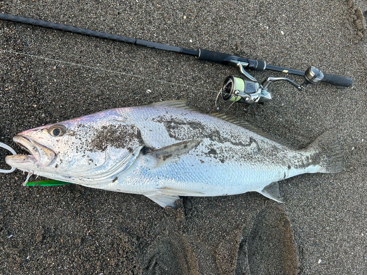 SHIMANO 18ディアルーナ S96Mの最安値・インプレ・釣果 | 本音の口コミ