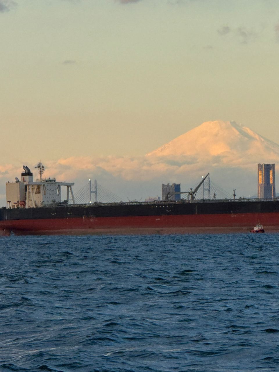 ako-pokoさんの釣果 2枚目の画像