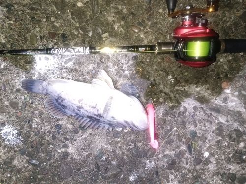 キラキラ公園（苫小牧西港）