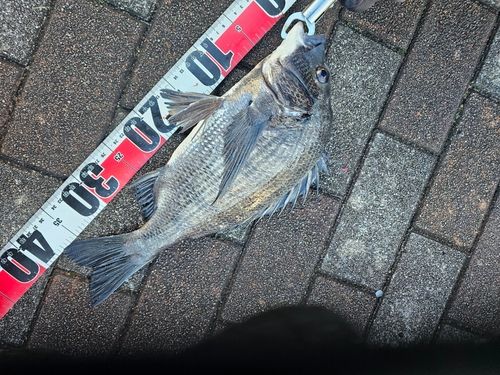 潮見さざなみ公園