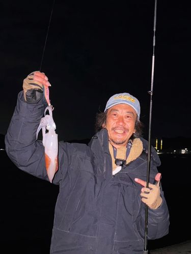 ケンサキイカの釣果